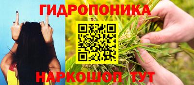 каннабис Краснознаменск